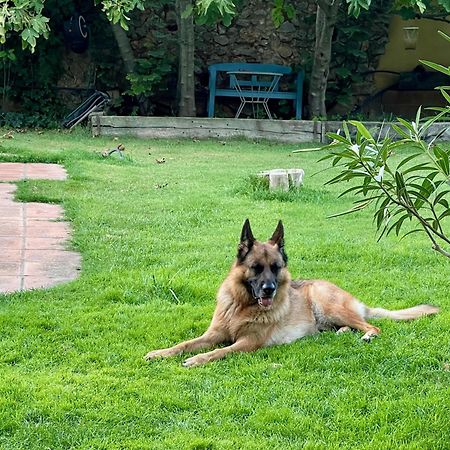 Sobrestany Santa Caterina - Dog Friendly With Gardenヴィラ エクステリア 写真