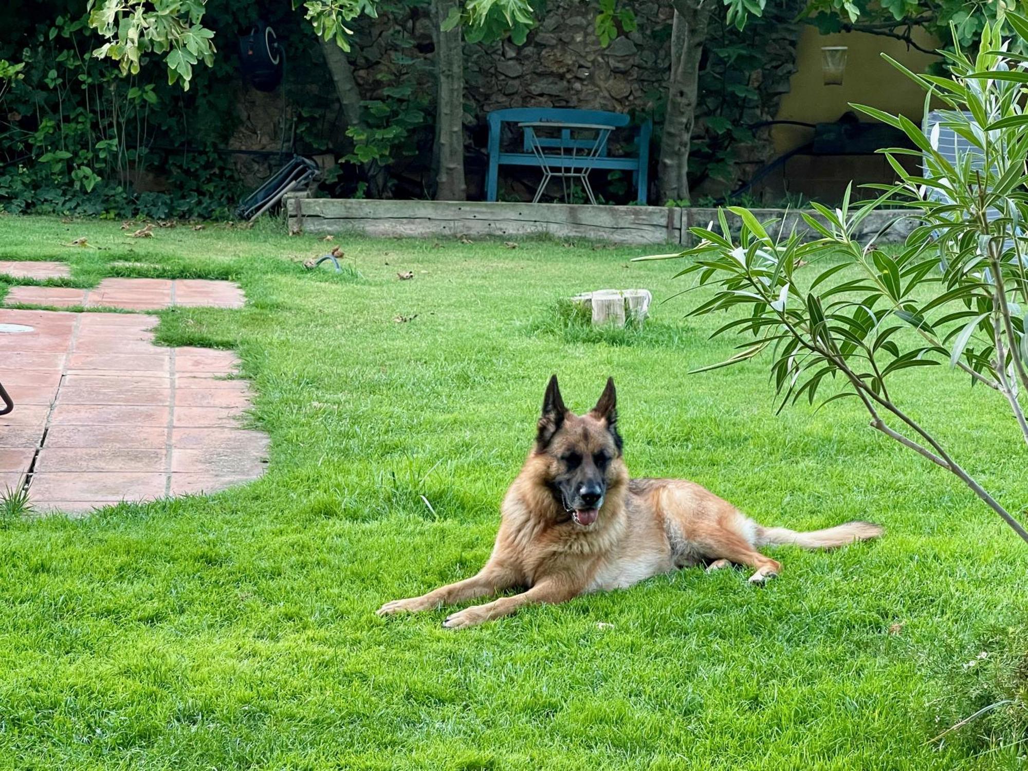 Sobrestany Santa Caterina - Dog Friendly With Gardenヴィラ エクステリア 写真